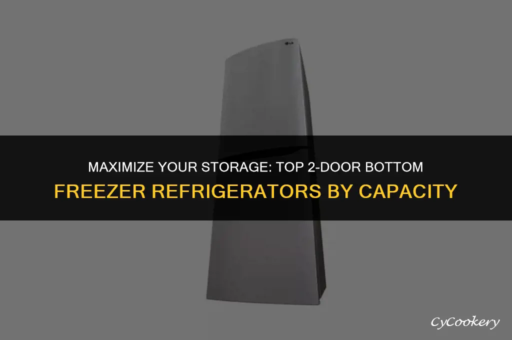 which 2-door bottom refrigerator has the largest capacity