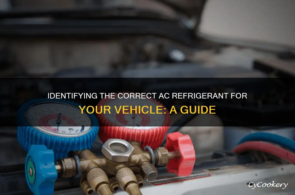 which ac refrigerant does my car use