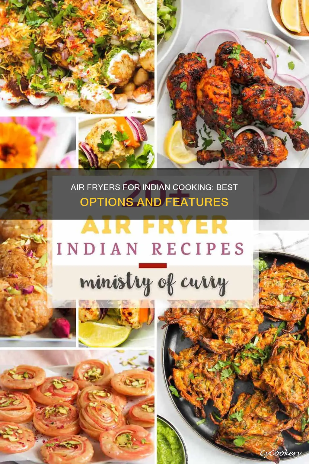 which air fryer is best for indian cooking