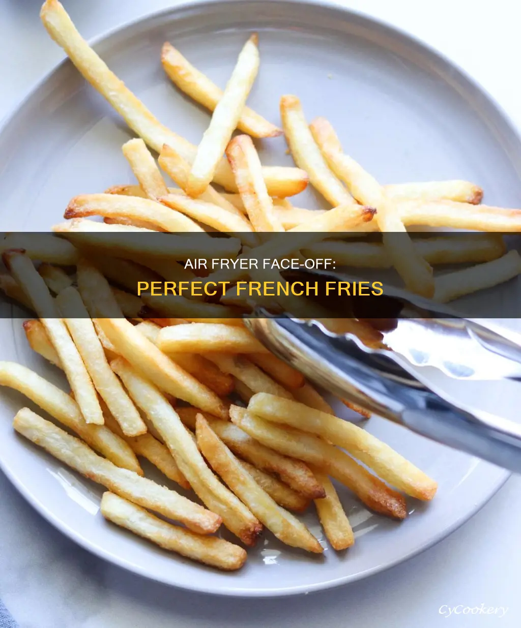 which air fryer makes the best french fries