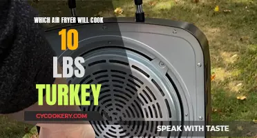 Air Fryer Turkey Feast: Cooking a 10-Pound Bird