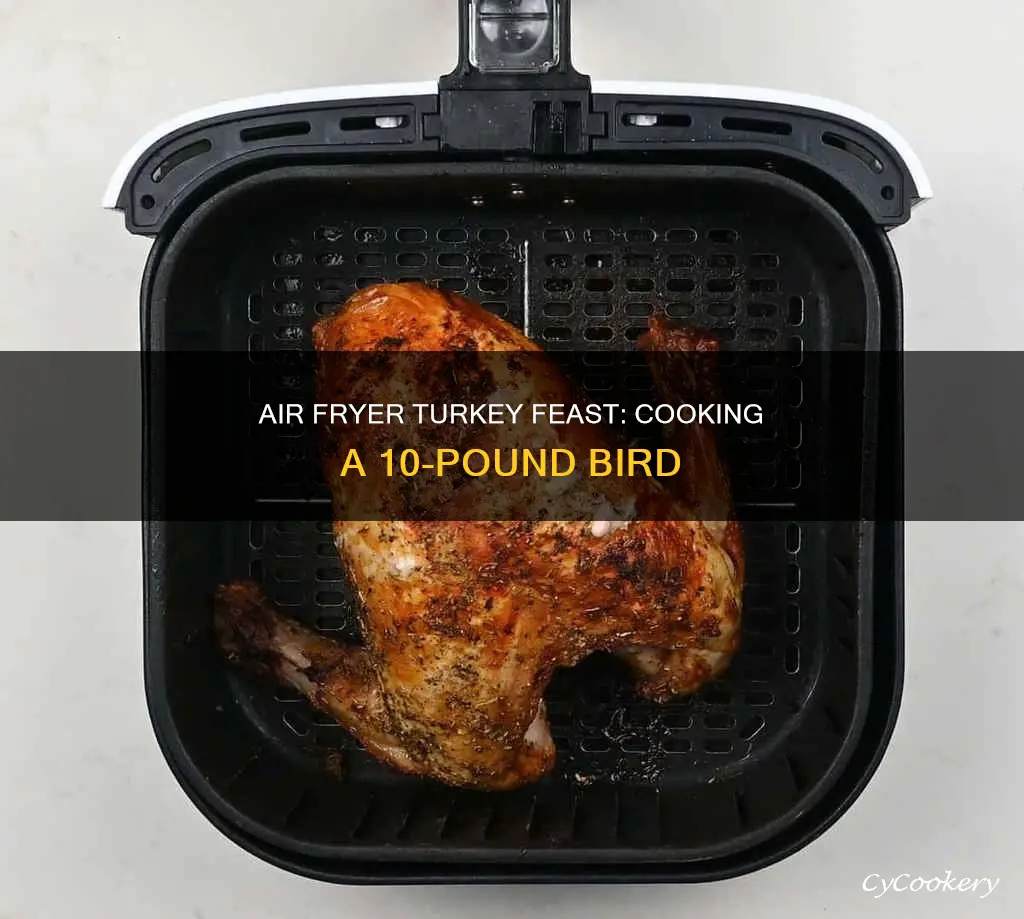 which air fryer will cook 10 lbs turkey