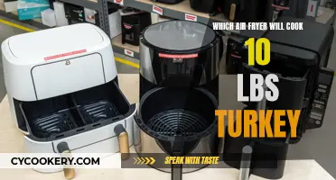 Air Fryers for Large Families: 10-lb Turkey Cooking