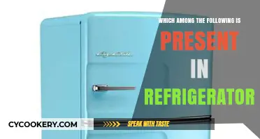 Chill Essentials: What's Really Inside Your Refrigerator?