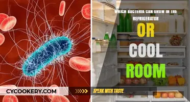 Chilling Truth: Bacteria That Thrive in Your Refrigerator or Cool Room