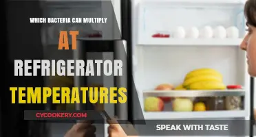 Chilling Truth: Bacteria That Thrive in Your Refrigerator's Cold Environment