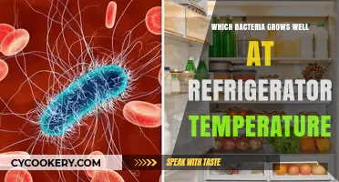 Chilling Revelations: Bacteria Thriving in Your Refrigerator's Cool Environment