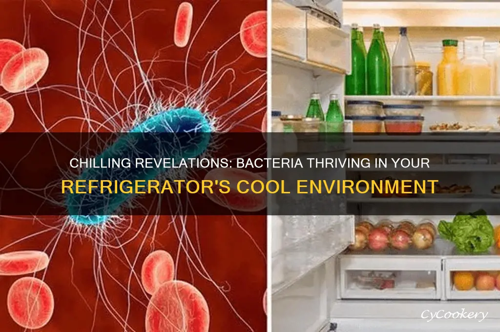 which bacteria grows well at refrigerator temperatures