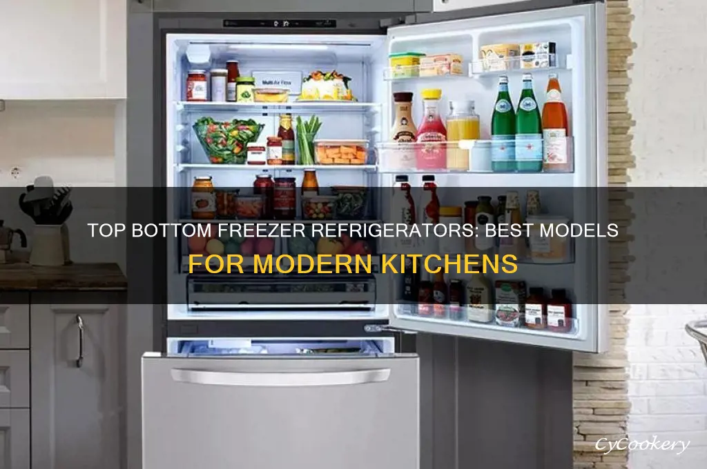 which bottom freezer refrigerator is the best