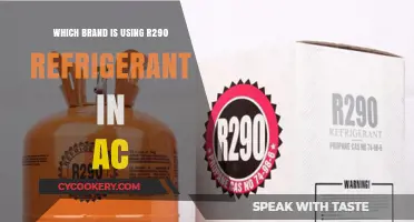 Eco-Friendly Cooling: Brands Embracing R290 Refrigerant in ACs