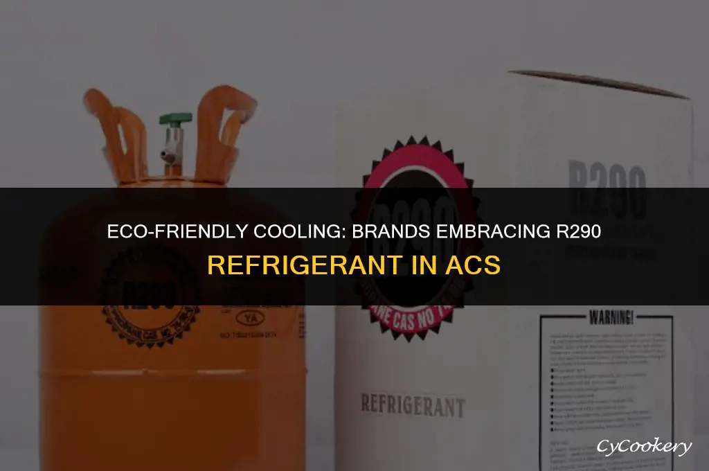 which brand is using r290 refrigerant in ac