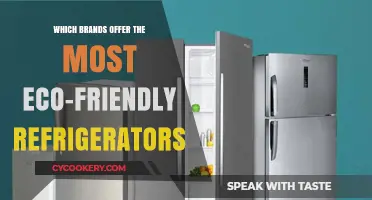 Eco-Friendly Refrigerators: Top Brands Leading the Sustainable Cooling Revolution