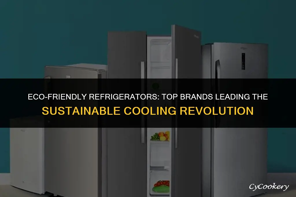 which brands offer the most eco-friendly refrigerators