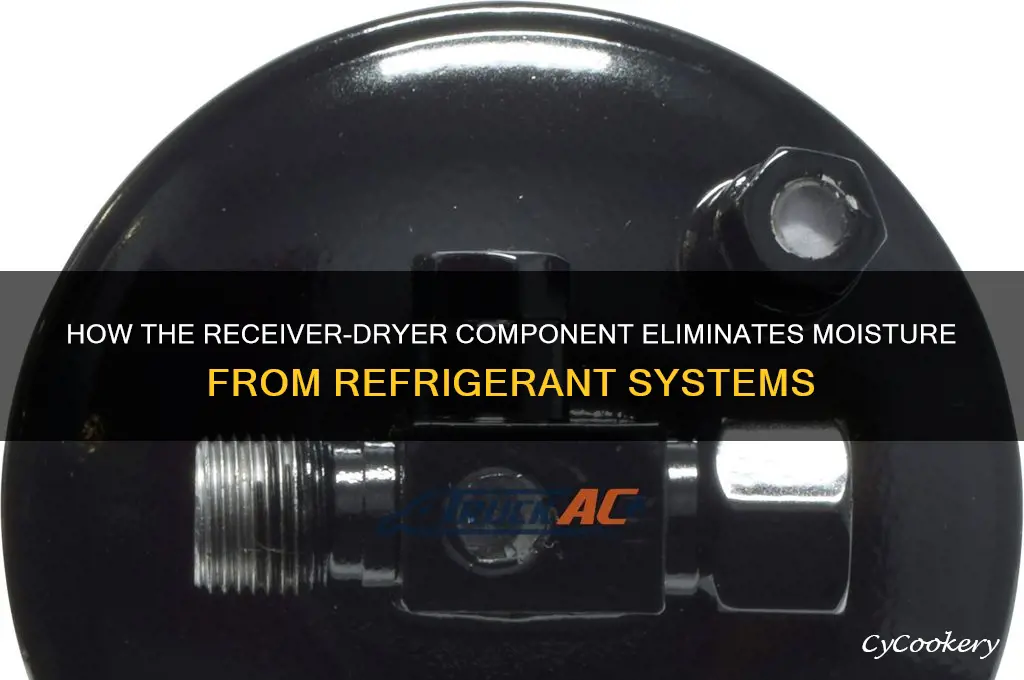 which component removes moisture from the refrigerant