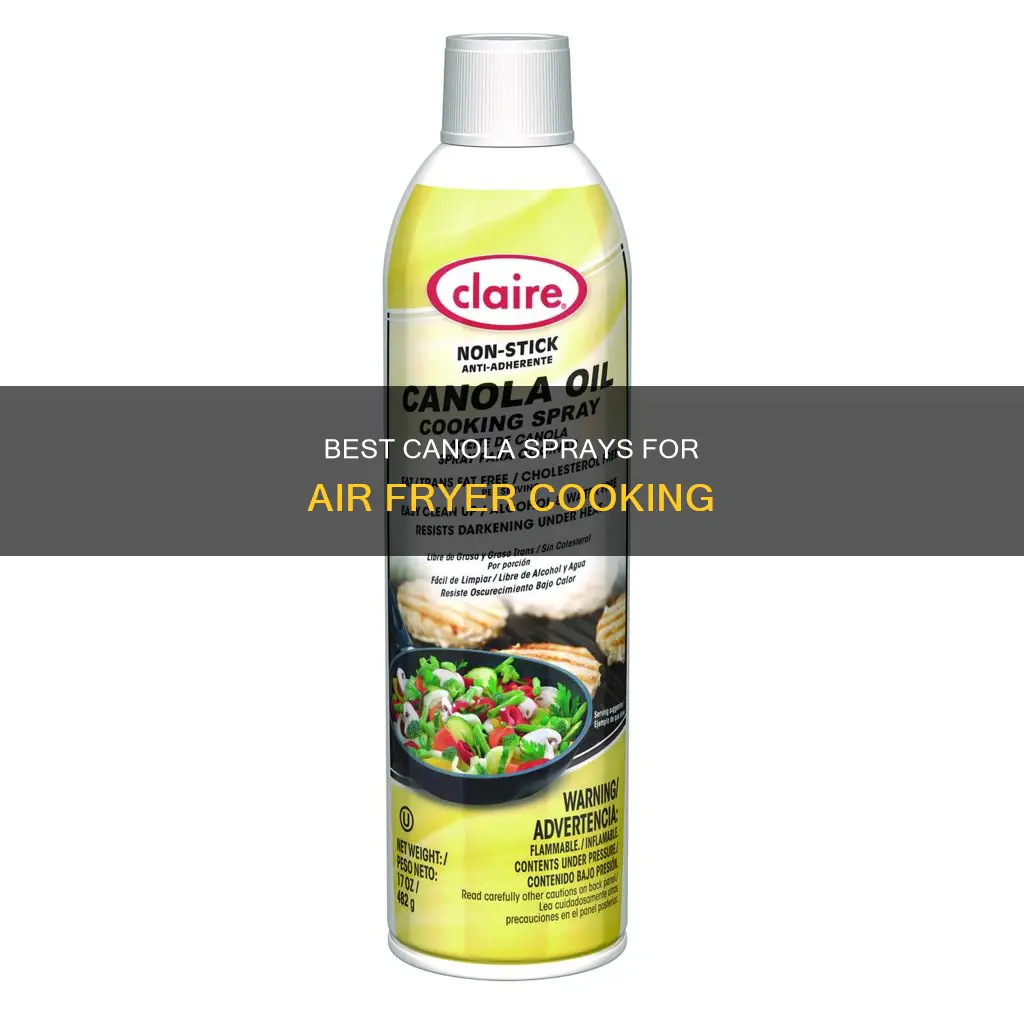 which cooking canola sprays to use in air fryer