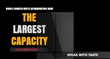 Maximize Your Storage: Top Counter Depth Refrigerators with Large Capacity