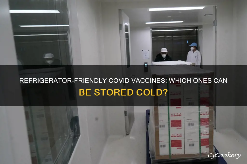 which covid vaccine can be stored in the refrigerator