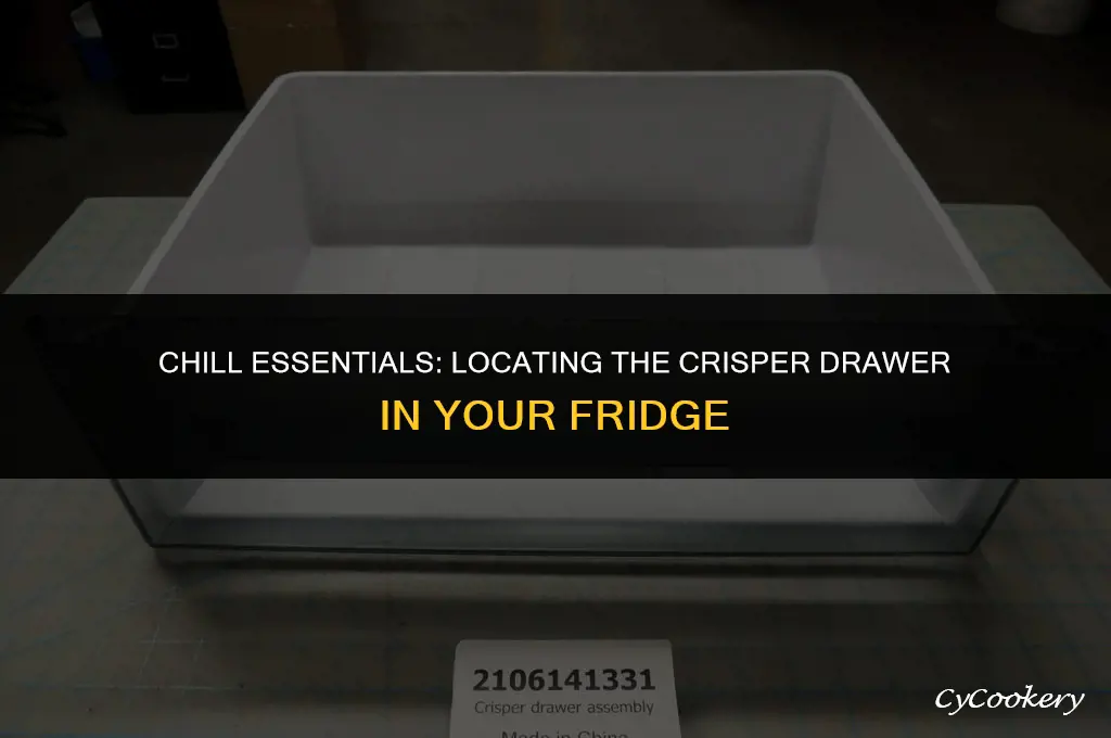 which drawer is the crisper drawer in the refrigerator