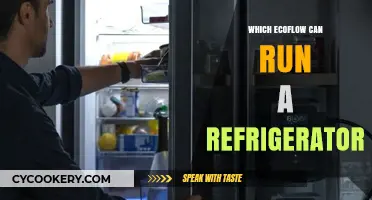 EcoFlow Power Stations: Which Model Can Run Your Refrigerator?