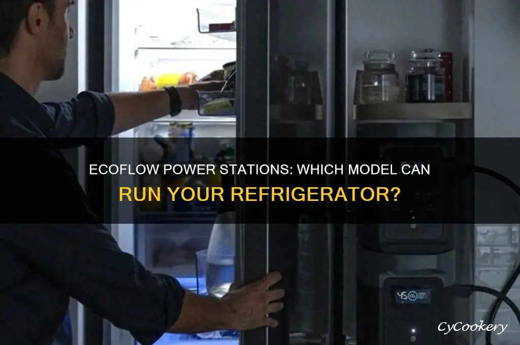 which ecoflow can run a refrigerator