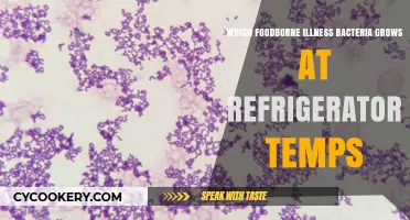 Chilling Facts: Foodborne Illness Bacteria That Thrive in Your Fridge