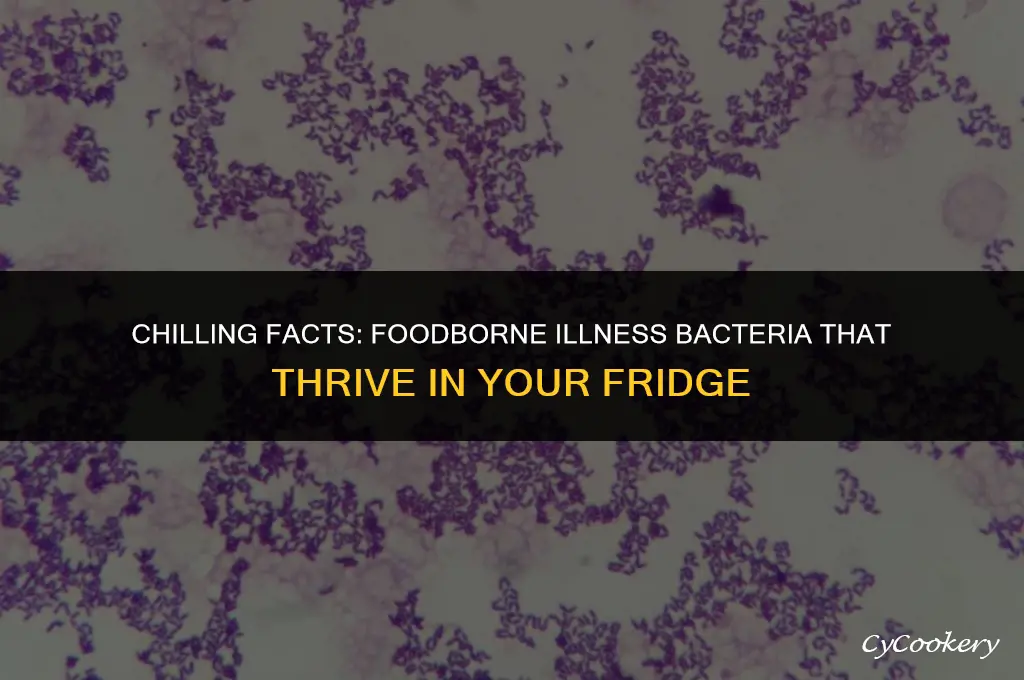 which foodborne illness bacteria grows at refrigerator temps
