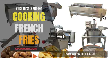 The Ultimate Guide to Choosing the Perfect Fryer for French Fries