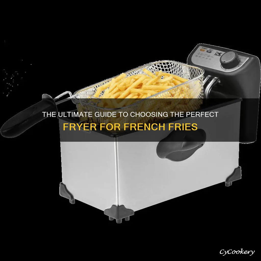 which fryer is used for cooking french fries