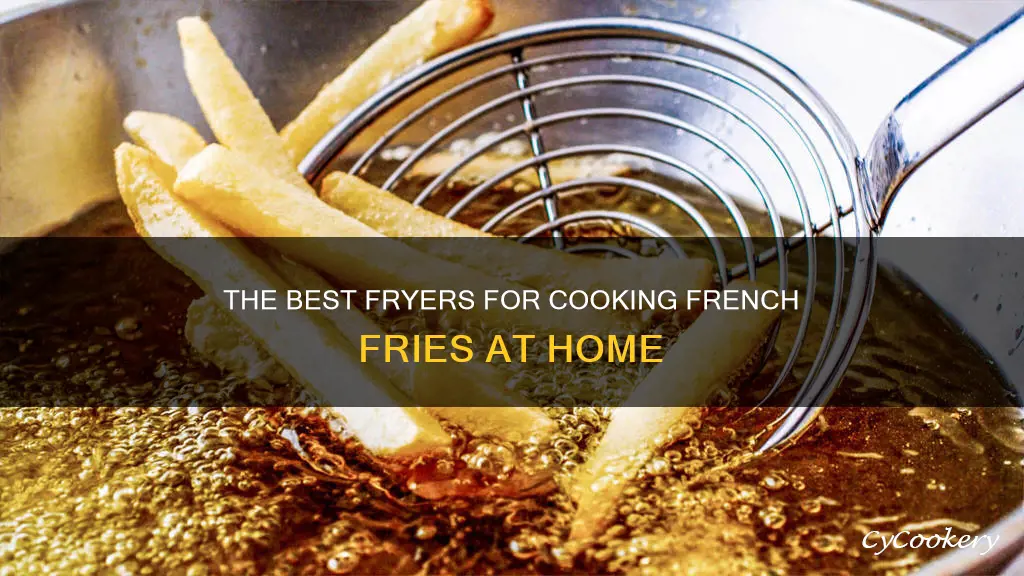 which fryer is used for cooking french fries