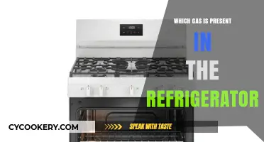 What Gas Keeps Your Fridge Cold? A Look Inside Refrigerators