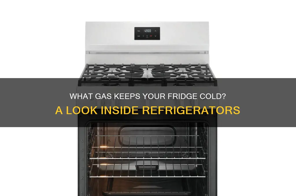 which gas is present in the refrigerator