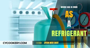 Exploring the Most Common Gases Used as Refrigerants Today