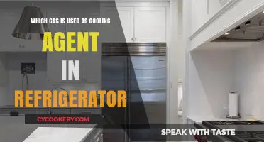 Chill Factor: The Essential Gas Keeping Your Fridge Cool