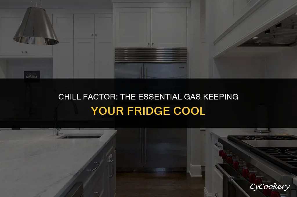 which gas is used as cooling agent in refrigerator