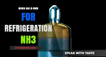 NH3: The Preferred Gas for Efficient Refrigeration Systems Explained