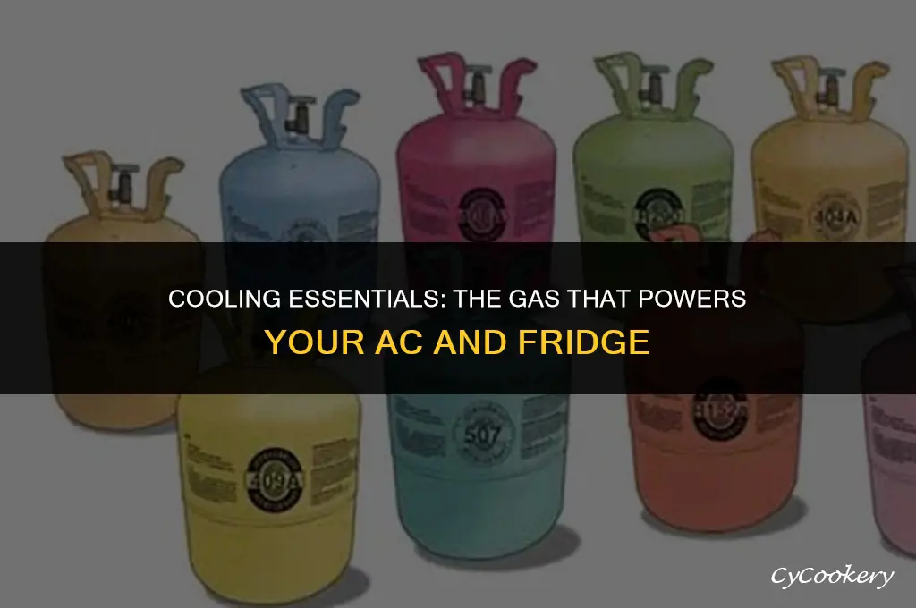 which gas is used in ac and refrigerator
