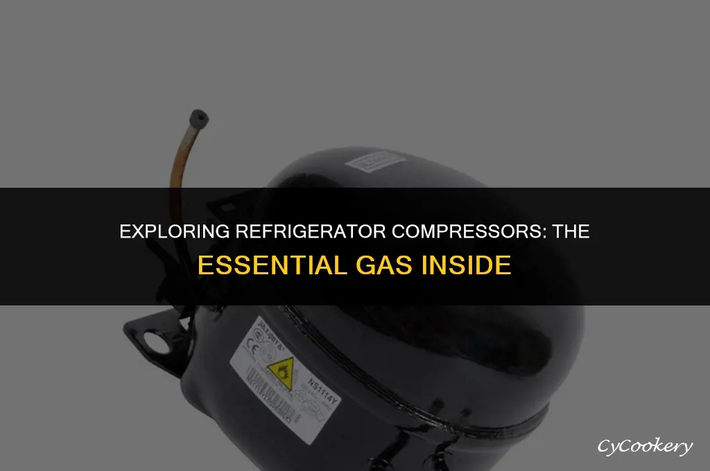 which gas is used in compressor of refrigerator
