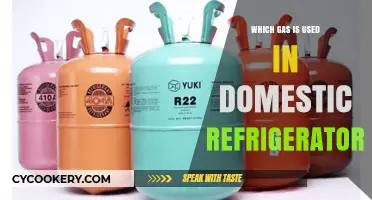 What Gas is Used in Domestic Refrigerators: A Comprehensive Guide