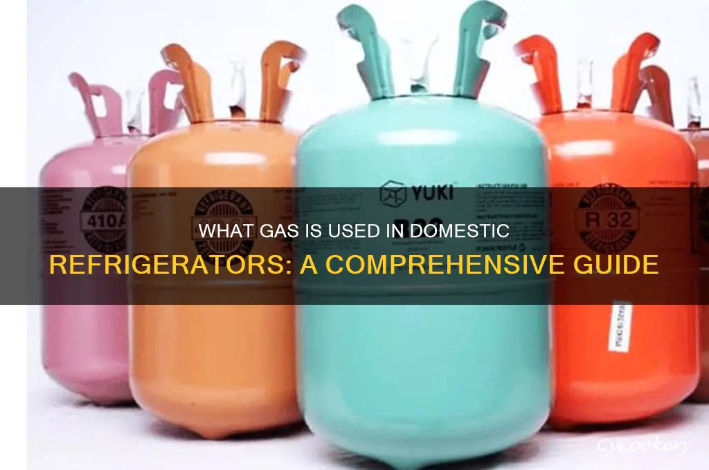 which gas is used in domestic refrigerator