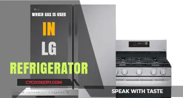 What Gas Does LG Use in Their Refrigerators? Explained