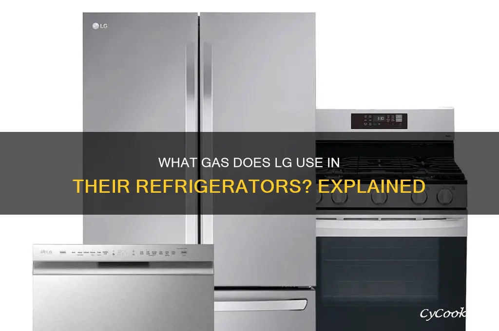 which gas is used in lg refrigerator