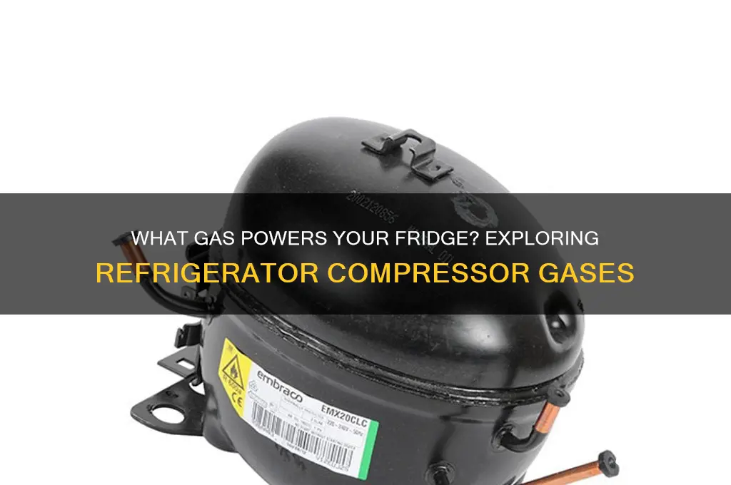 which gas is used in refrigerator compressor