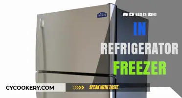 What Gas is Used in Refrigerator Freezers: A Comprehensive Guide