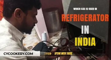Cooling India: The Essential Guide to Refrigerator Gases