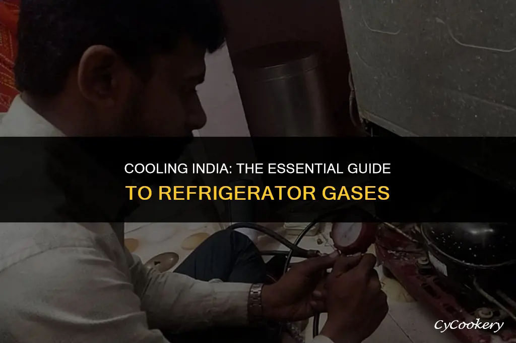 which gas is used in refrigerator in india