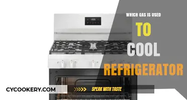 What Gas Keeps Your Fridge Cool? The Science Behind Refrigeration