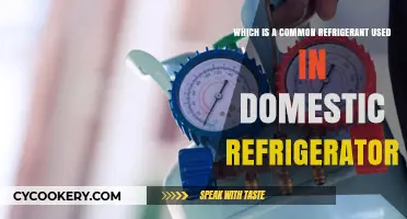Exploring Common Refrigerants: A Guide to Domestic Refrigeration