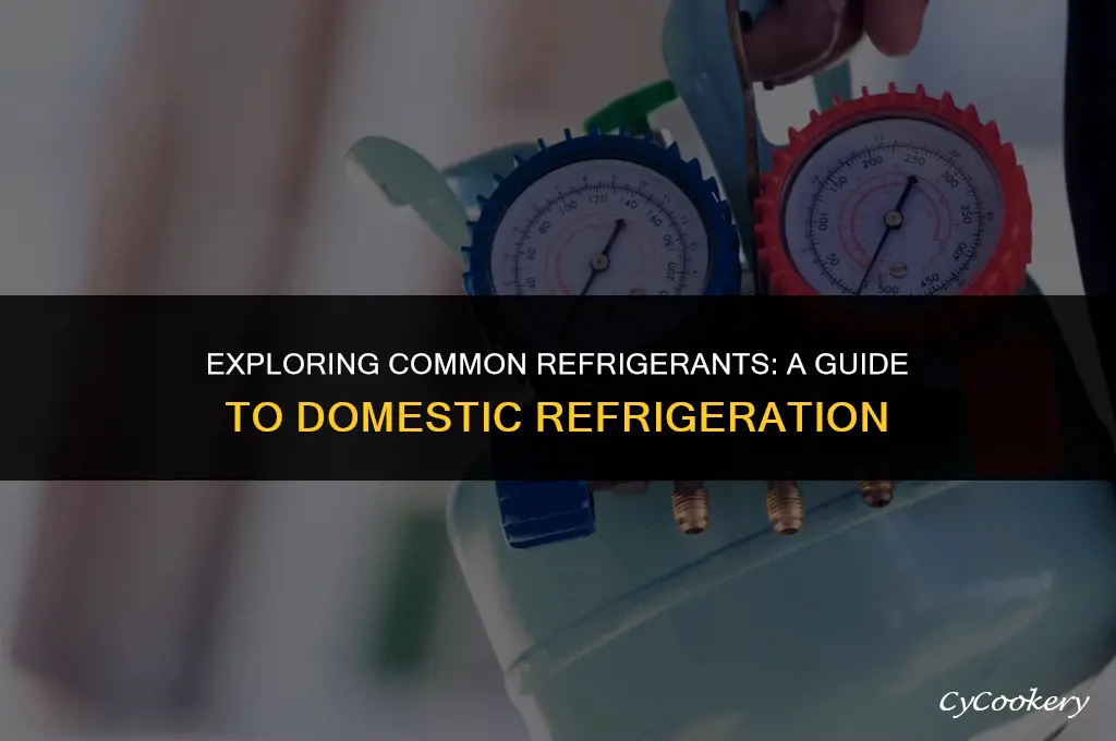 which is a common refrigerant used in domestic refrigerator