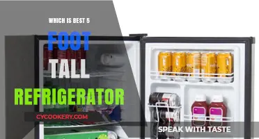 Top 5-Foot Tall Refrigerators: Best Models for Compact Spaces