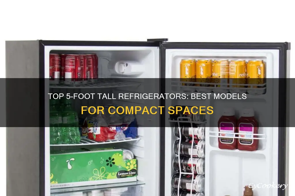 which is best 5 foot tall refrigerator
